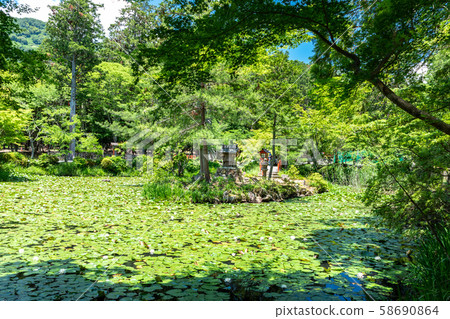 中之島大原野神社澤澤池塘 中之島大原野神社澤澤池塘 58690864