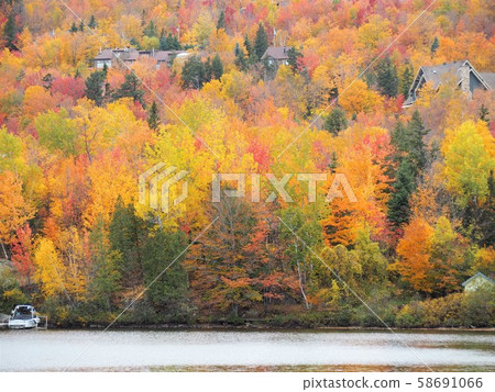 Autumn leaves on the lake of Mont Tremblant in Quebec, Canada Autumn leaves on the lake of Mont Tremblant in Quebec, Canada 58691066