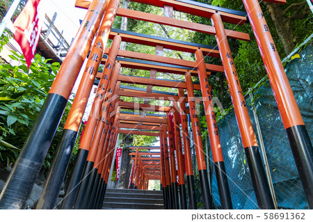 [東京]花之野稻荷神社鳥居 58691362
