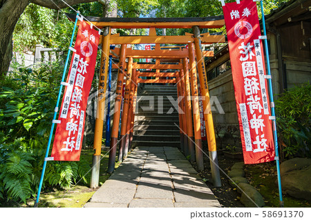 [東京]花之野稻荷神社鳥居 58691370