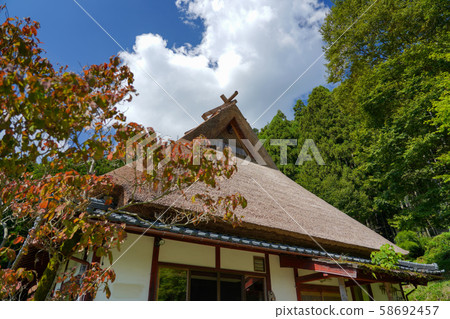 茅草村 茅草村 58692457