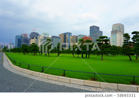 Pine trees and skyscrapers. High rise buildings in Chiyoda. Chiyoda-ku is a special ward located in central Tokyo  Pine trees and skyscrapers. High rise buildings in Chiyoda. Chiyoda-ku is a special ward located in central Tokyo  58693331