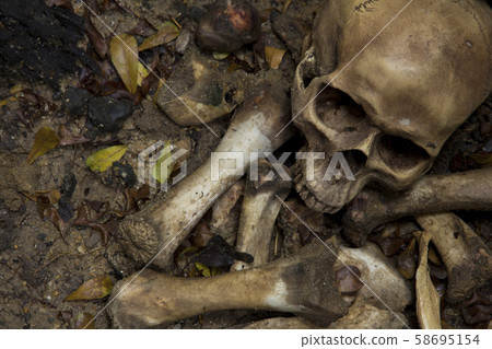 Skull and bones buried dug from a pit in the 58695154
