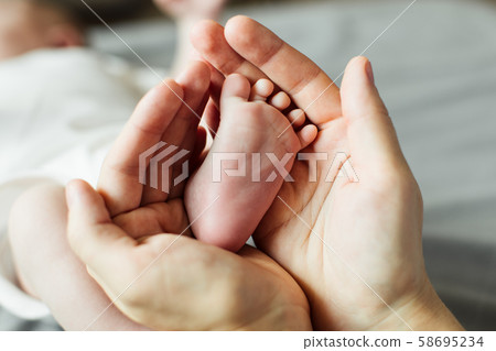 Mother holding newborn baby feet in hands Mother holding newborn baby feet in hands 58695234