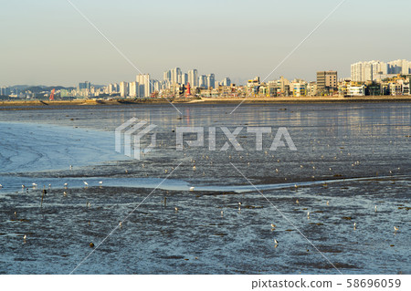 仁川市延壽區松島 58696059