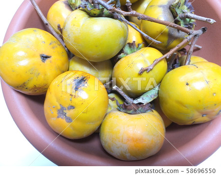 Harvested self-cultivated sweet potato (Furuyu) 58696550