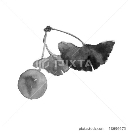 銀杏果仁銀杏葉，單調白色背景[水墨繪畫風格] 58696673