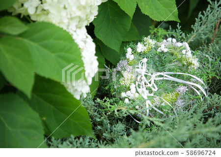 Wedding wedding ring June bride 58696724