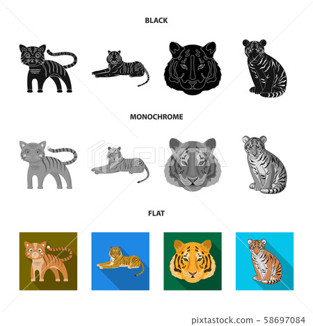 Vector design of tiger and asian symbol. Collection of tiger and tattoo stock vector illustration. Vector design of tiger and asian symbol. Collection of tiger and tattoo stock vector illustration. 58697084