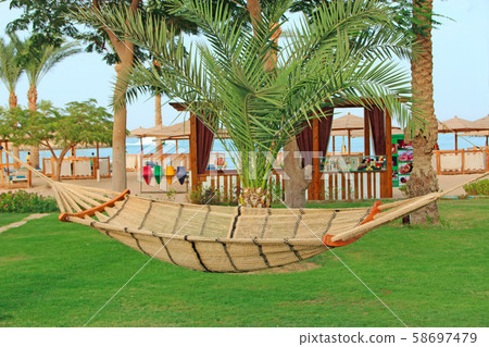 Empty hammock at tropical resort above green grass 58697479