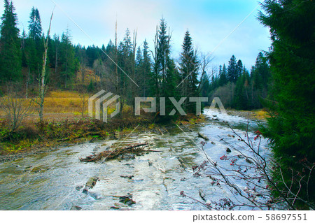 Mountain river flowing in green forest under 58697551