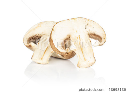 Fresh brown mushroom isolated on white Fresh brown mushroom isolated on white 58698186