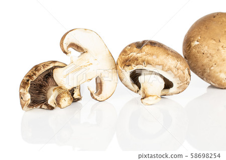 Fresh brown mushroom isolated on white 58698254