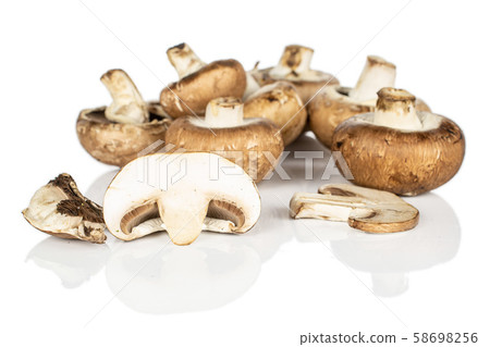 Fresh brown mushroom isolated on white Fresh brown mushroom isolated on white 58698256