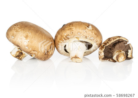 Fresh brown mushroom isolated on white Fresh brown mushroom isolated on white 58698267
