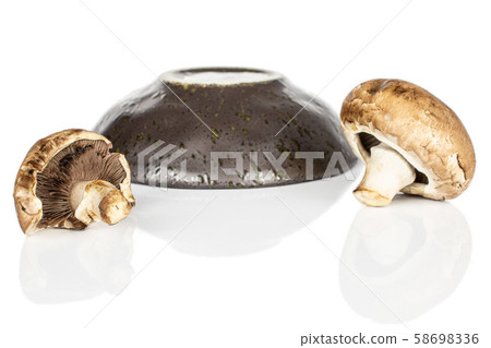 Fresh brown mushroom isolated on white Fresh brown mushroom isolated on white 58698336
