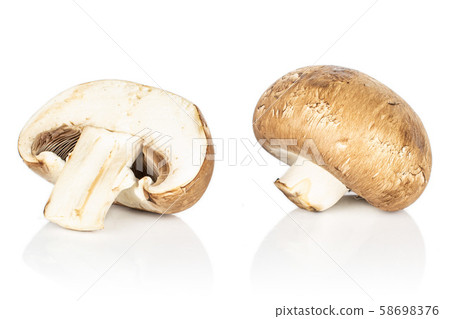 Fresh brown mushroom isolated on white Fresh brown mushroom isolated on white 58698376