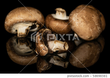Fresh brown mushroom isolated on black glass Fresh brown mushroom isolated on black glass 58698381