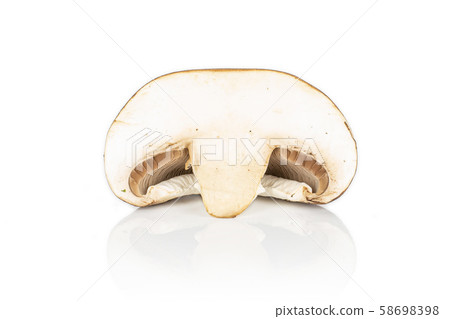 Fresh brown mushroom isolated on white Fresh brown mushroom isolated on white 58698398