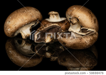Fresh brown mushroom isolated on black glass Fresh brown mushroom isolated on black glass 58698478