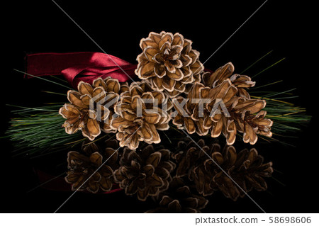 Brown forest pine cone isolated on black glass Brown forest pine cone isolated on black glass 58698606