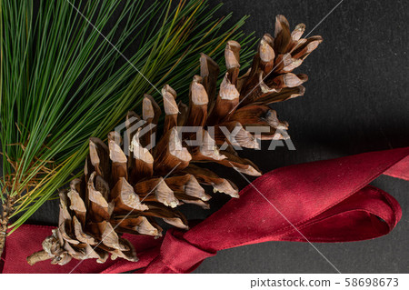 Brown forest pine cone on grey stone Brown forest pine cone on grey stone 58698673