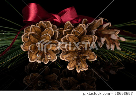 Brown forest pine cone isolated on black glass Brown forest pine cone isolated on black glass 58698697