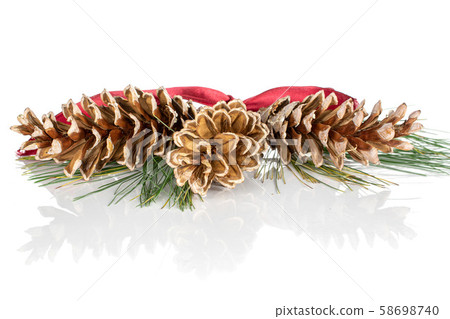 Brown forest pine cone isolated on white 58698740