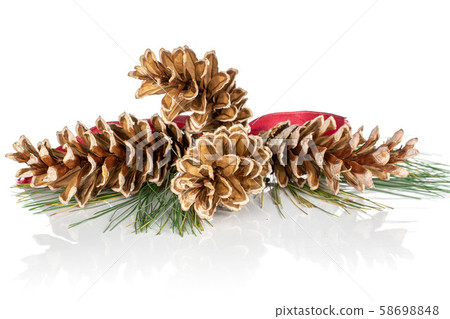 Brown forest pine cone isolated on white Brown forest pine cone isolated on white 58698848