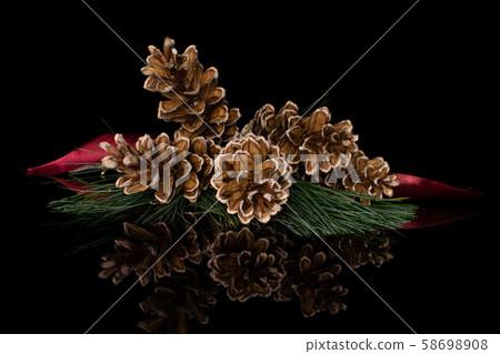 Brown forest pine cone isolated on black glass Brown forest pine cone isolated on black glass 58698908