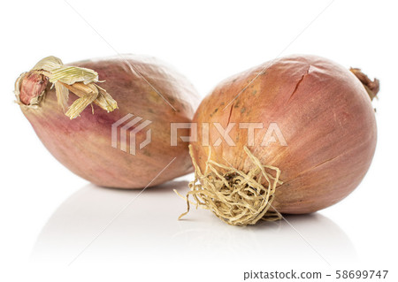 Fresh brown shallot isolated on white Fresh brown shallot isolated on white 58699747