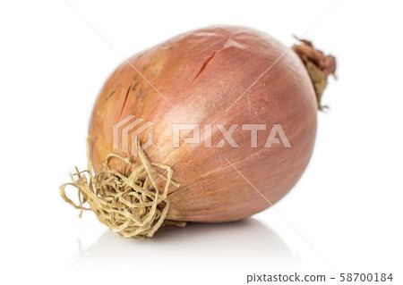 Fresh brown shallot isolated on white Fresh brown shallot isolated on white 58700184