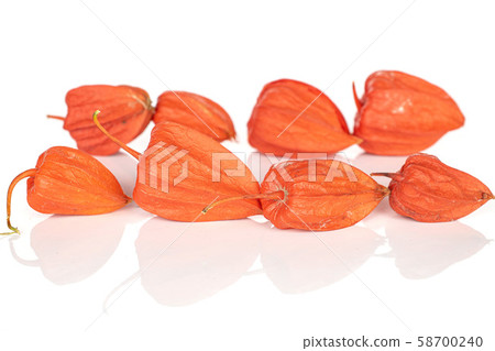 Fresh orange physalis isolated on white 58700240