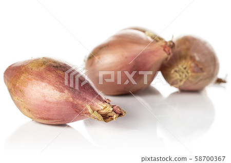Fresh brown shallot isolated on white 58700367