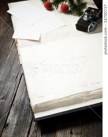 Photo album, photos, camera and pine tree branch 58700737