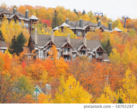 Apartment surrounded by autumn leaves in Mont Tremblant, Quebec, Canada 58701287