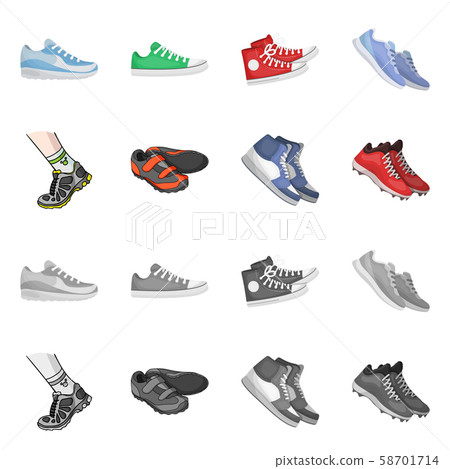 Vector illustration of shoe and sport symbol. Collection of shoe and fitness stock vector 58701714