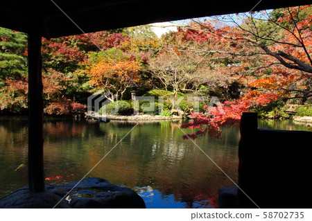 白金的八方園,城市的寂靜 白金的八方園,城市的寂靜 58702735