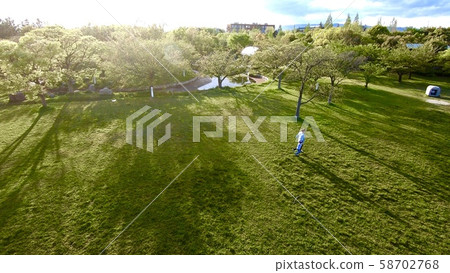 park  park 58702768