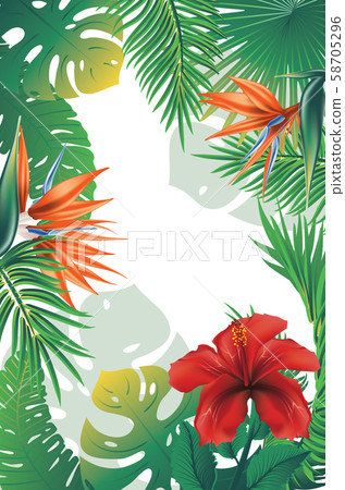 Tropical leaves and flowers banner 58705296