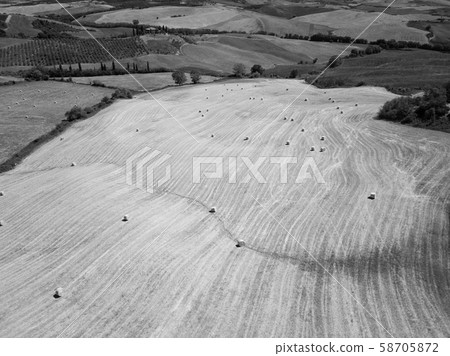 Aerial summer rural landscape of Tuscany 58705872