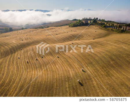 Aerial summer rural landscape of Tuscany 58705875