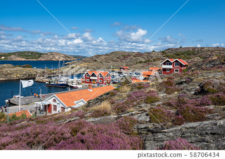 View to the island Dyroen in Sweden View to the island Dyroen in Sweden 58706434