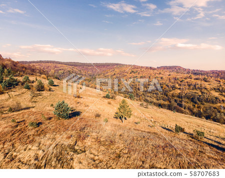 Colorful autumn in Carpathians. Aerial drone view 58707683