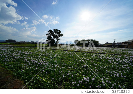奈良Su河原青空花奈 58710253