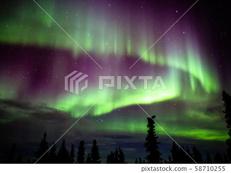 阿拉斯加費爾班克斯的極光 58710255