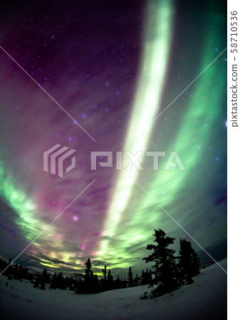 Aurora of Alaska Chena 58710536