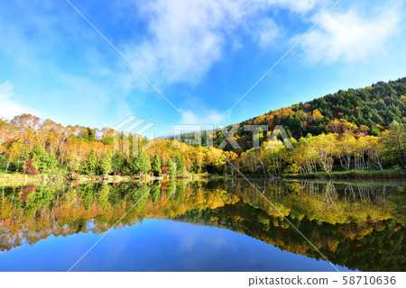 Autumn leaves of Shiga Kogen 58710636