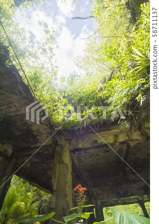 帕勞共和國轟炸貝雷留島海軍航空兵總部的廢墟，貝雷留島是第二次世界大戰的激烈戰鬥島 58711137