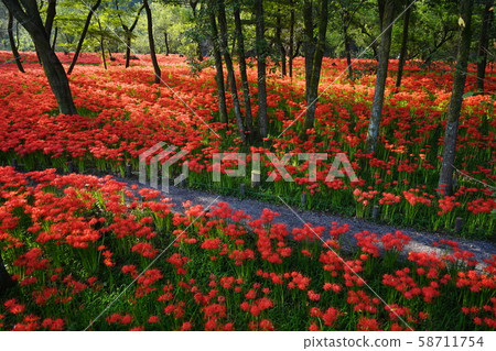 十月日高33金inch田文殊社公園 58711754